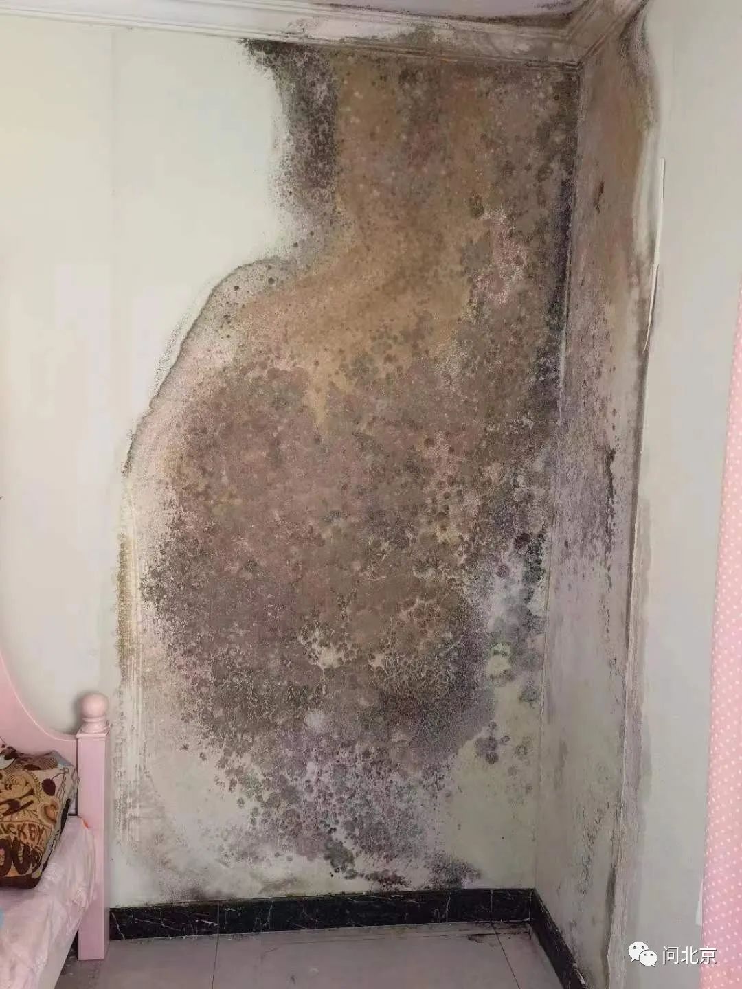 DƬ